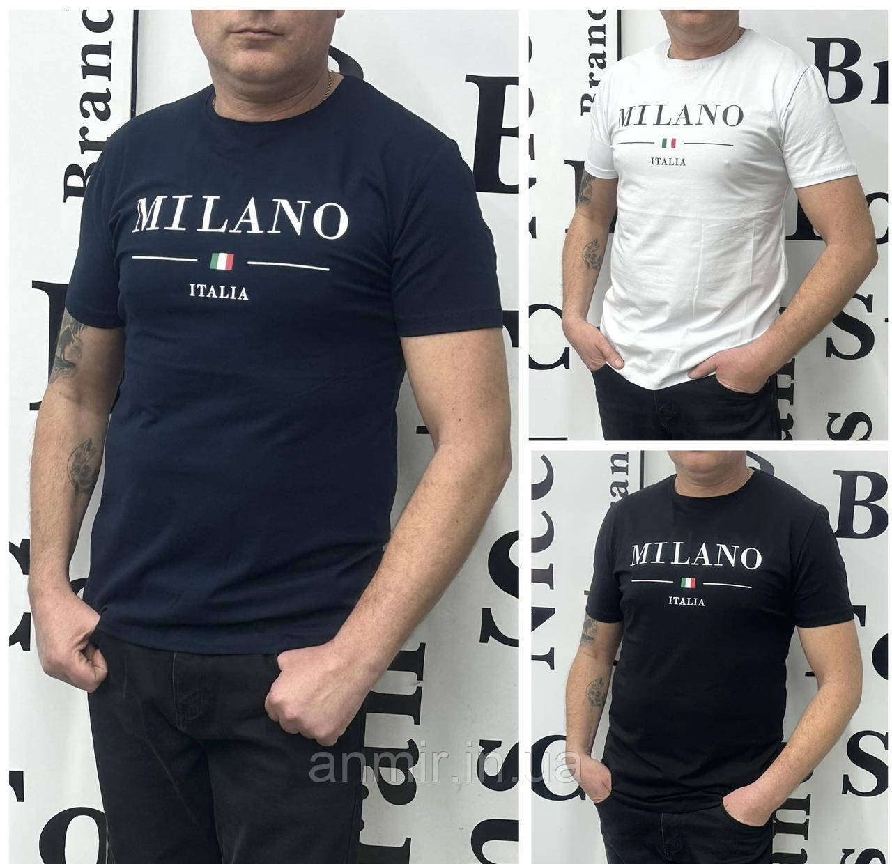 Чоловіча футболка-котон MILANO норма 46-54, колір уточнюйте під час замовлення
