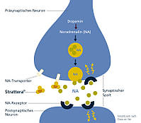 Strattera/Траттера (Атомоксетин/atomoxetine) 4 мг/мл, суспензія 100 мл., фото 5