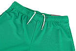 Шорти Puma teamRISE Short зелений Чол M, фото 10