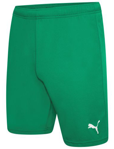 Шорти Puma teamRISE Short зелений Чол S, фото 1