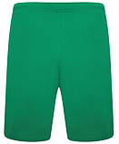 Шорти Puma teamRISE Short зелений Чол XL, фото 3