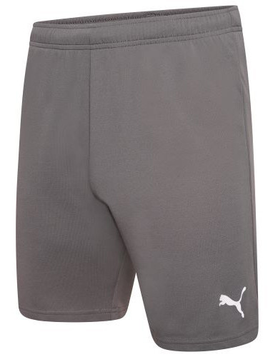 Шорти Puma teamRISE Short сірий Чол M, фото 1