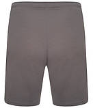 Шорти Puma teamRISE Short сірий Чол M, фото 5