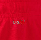 Шорти Puma teamRISE Short червоний Чол S, фото 2