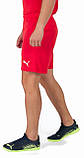 Шорти Puma teamRISE Short червоний Чол S, фото 4