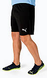 Шорти Puma teamRISE Short чорний Чол M, фото 4