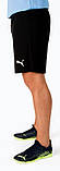 Шорти Puma teamRISE Short чорний Чол M, фото 5