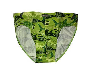 Труси плавки чоловічі, maxi, Bono (розмір 56)