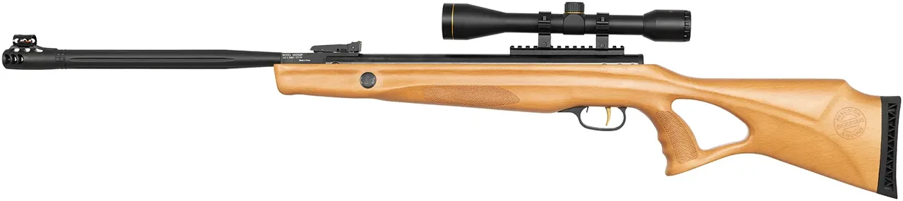 Beeman Polar Bear GR (з прицілом 4х32)
