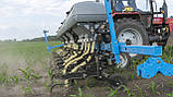 Міжрядний культиватор КУМ-5,6 система внесенням сипучих добрив, фото 4
