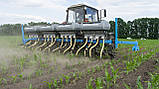 Міжрядний культиватор КУМ-5,6 система внесенням сипучих добрив, фото 5