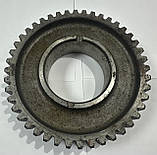 Шестірня 1 пер. валу втор. 4421-1701112 (Зіл 4331, Зіл 133Г40, Зіл 133Д42, Z=44), фото 2