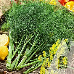 Кріп Мамонт 2 г Satex СЦ