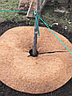 Пристовбурне коло з кокосового волокна EuroCocos, діаметр 100 см, фото 6