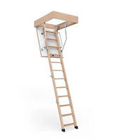 Горищні сходи Eco Standard