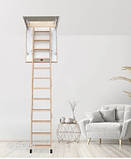 Горищні сходи Eco Standard, фото 3