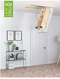 Горищні сходи Eco Standard, фото 8