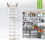 Горищні сходи Eco Standard, фото 9