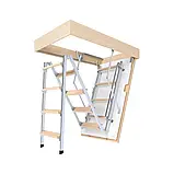 Горищні сходи DOUBLE LUXE Metal Standard, фото 3