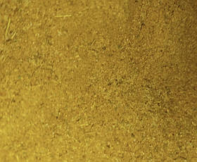 Суміш спецій "Сванська сіль"