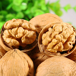 Волоський горіх "Chandler" (селекція США, 2 річний саджанець)