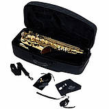 Саксофон Selmer Axos Alto Sax, фото 5