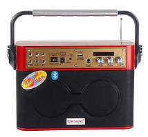 Радіоприймач цифрове радіо Temeisheng A4-2