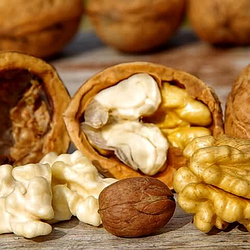 Грецький горіх "Клішковський" (2 річний 1,5м.)