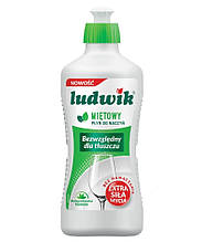 Засіб для миття посуду Ludwik М'ята 450 мл