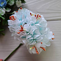 Букет хризантема ніжно-блакитна з жовтогарячими тичинками на ніжках