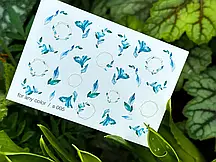 Слайдер-дизайн mini s005