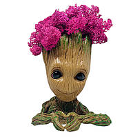 Кашпо з рожевим стабілізованим мохом Грут G2