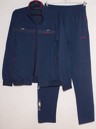 Чоловічий спортивний костюм з прямими брюками Fore 2266 XL,XXL,3XL, фото 3