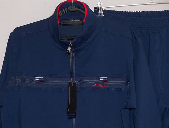 Чоловічий спортивний костюм з прямими брюками Fore 2266 XL,XXL,3XL, фото 6
