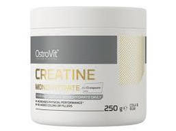 Creatine Monohydrate Creapure OstroVit, 250 грам (зі смаком)