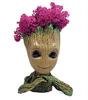 Кашпо з рожевим стабілізованим мохом Грут G3