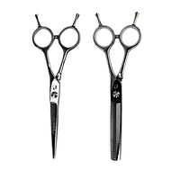 Набір перукарських ножиць Proline 5.5" (C6-55+C6T-5.5)