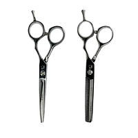 Набір перукарських ножиць Proline Silver 5,5 (C7-55+C7T-5.5)