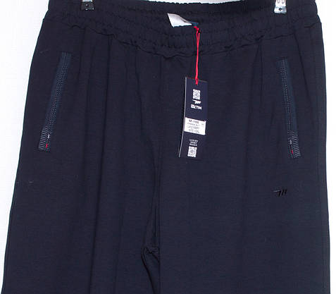 Чоловічі спортивні штани синіі Mxtim/Avic 3XL,4XL,5XL,6XL, фото 4