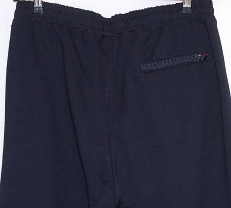 Чоловічі спортивні штани синіі Mxtim/Avic 3XL,4XL,5XL,6XL, фото 3