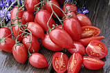 Насіння томату Сітка Рожева (Maglia Rosa) 15 нас, фото 2
