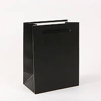 Пакет подарочный чёрный 23х18х10 см