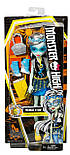 Лялька Monster High Френкі Штейн Модниці та вдень і вночі, фото 6