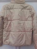 Куртка коротка жіноча бежева, фото 7