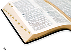 Біблія Турконяка українською мовою сучасний переклад 14*20 см з пошуковими індексами на замочці, фото 8