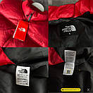 Жилетка чоловіча червона весна-осінь без каптура логотип The North Face TNF, фото 8