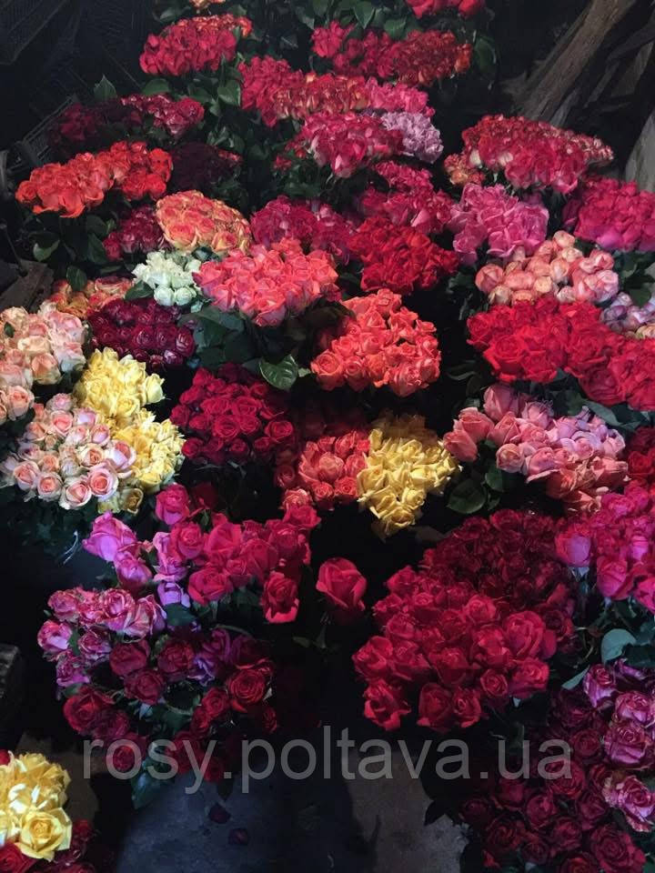 Уцінений набір 10 шт., фото 1