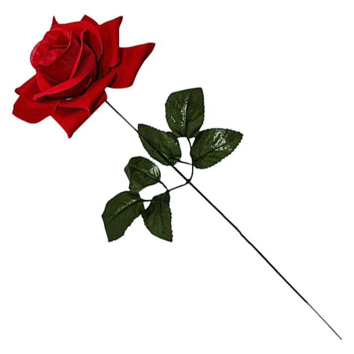 Троянда оксамитова Ритуал, 58 см, фото 1