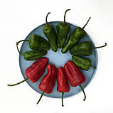 Насіння перцю Падрон 20 насінин, фото 3