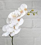 НАБІР НАТУРАЛЬНОГО МИЛА В ПРОБКОВІЙ ШКАТУЛЦІ "ОРХІДЕЯ" (2шт.*50 г), фото 4